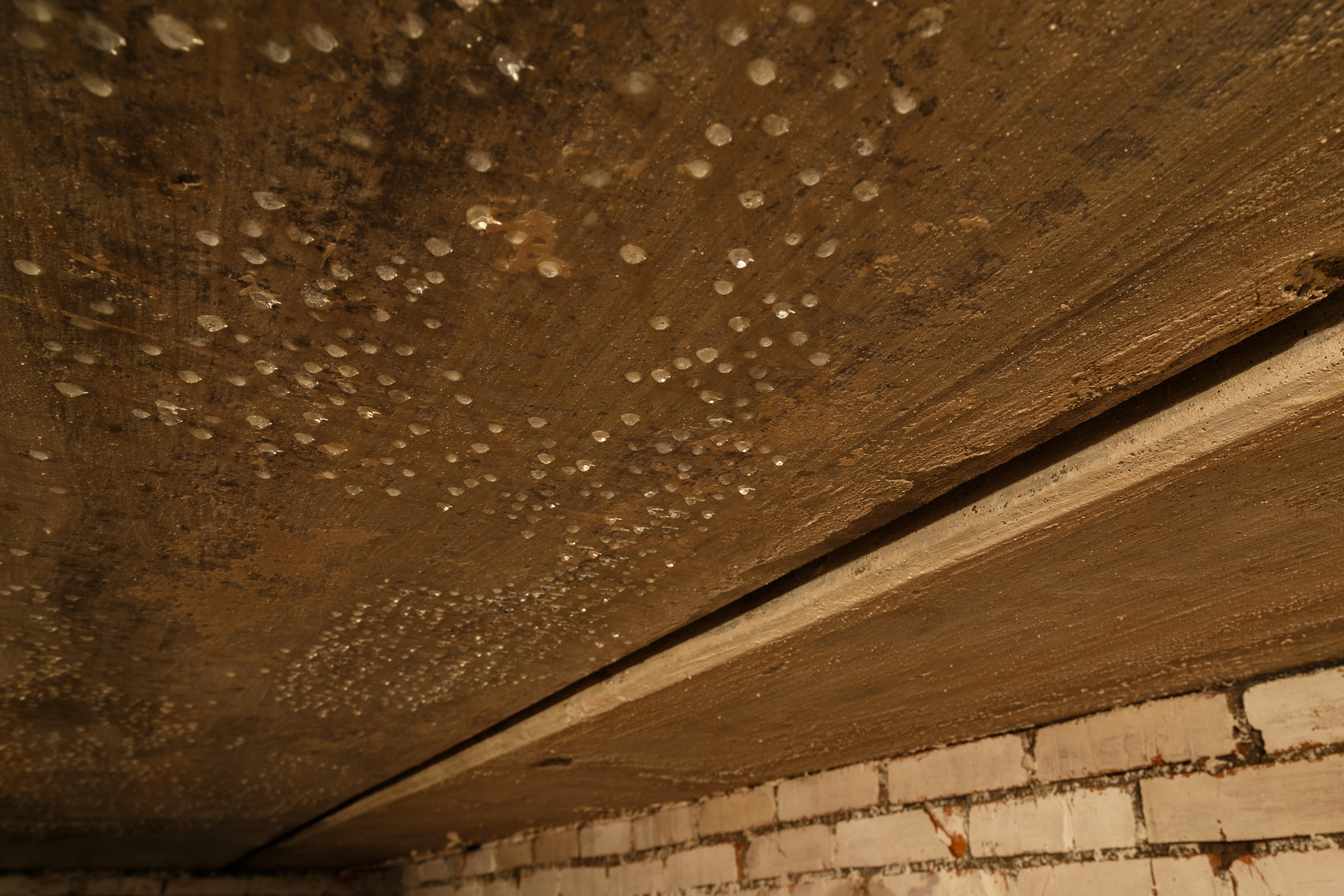 Basement Waterproofing in Rye, NY | Rain King Waterproofing - Crawl%20Space%20Moisture%20in%20Rye