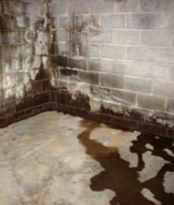 Expert Basement Waterproofing | Bronx, NY | The Rain King  - waterproofing-cta-image
